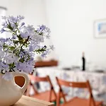 Apartment Pini *