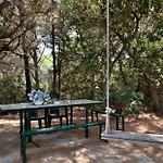 Pini Cala Gonone