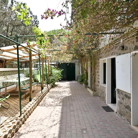 Pini * Cala Gonone