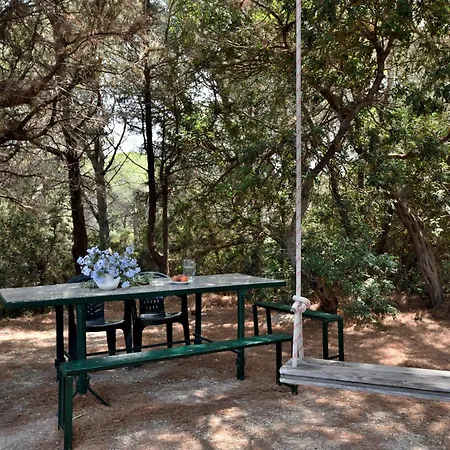 Pini Cala Gonone